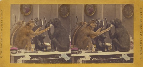 The Barber. We shave to live and live to shave., 1870. Creator: Eugene S. M. Haines.