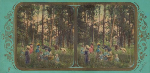 La Chasse aux Coquelicots., about 1855. Creator: Fraget & Viret.