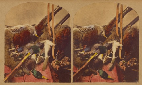 Still life with various dead fowl and rifle, about 1860. Creator: Joseph John Elliott.