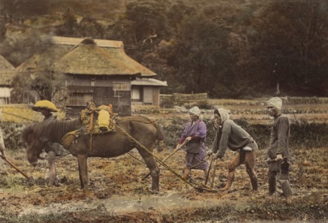 Ploughing, about 1873-1883. Creator: Shinichi Suzuki I.
