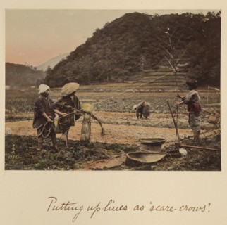 Putting up lines as scare-crows, about 1873-1883. Creator: Shinichi Suzuki I.