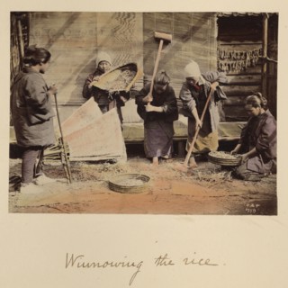 Winnowing the rice, about 1873-1883. Creator: Shinichi Suzuki I.