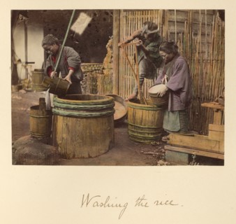 Washing the Rice, about 1873-1883. Creator: Shinichi Suzuki I.