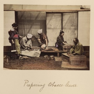 Preparing Tobacco Leaves, about 1873-1883. Creator: Shinichi Suzuki I.