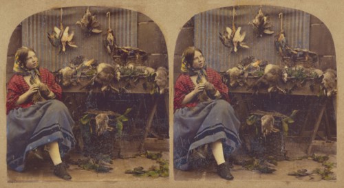 Young woman seated by table with dead fowl, rabbits, etc., about 1860. Creator: Unknown.