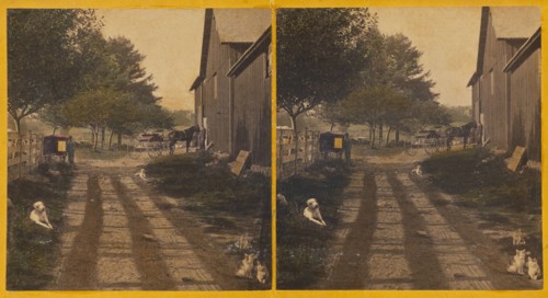 Country road with barn, dogs and cats about, about 1865. Creator: Unknown.