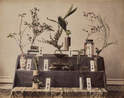 Flowers, about 1875-1890s. Creator: Unknown.