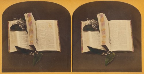 Book opened at two spots, one with book mark string, the other with flowers, about 1870-1880. Creator: Unknown.