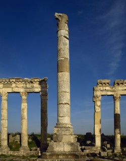 Monumental column and colonnade, Apamea, Syria, 2002. Creator: LTL.