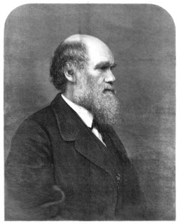 Mr. C. R. Darwin, author of "The Origin of Species'', 1871. Creator: Unknown.