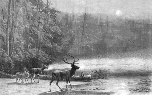Lake Scene - Early Morning, by Mr. Wüst, 1871. Creator: William Hollidge.