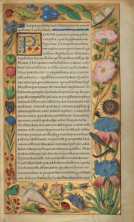 Decorated Text Page; Getty Epistles, about 1528-1530. Creator: Master of the Getty Epistles.