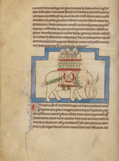 An Elephant; Northumberland Bestiary, about 1250-1260. Creator: Unknown.