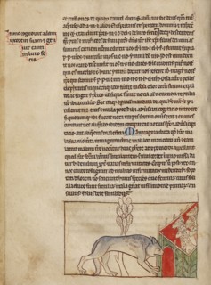A Wolf; Northumberland Bestiary, about 1250-1260. Creator: Unknown.