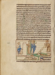 Dogs; Northumberland Bestiary, about 1250-1260. Creator: Unknown.