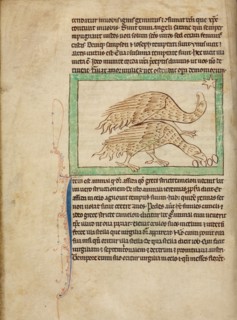Ostriches; Northumberland Bestiary, about 1250-1260. Creator: Unknown.