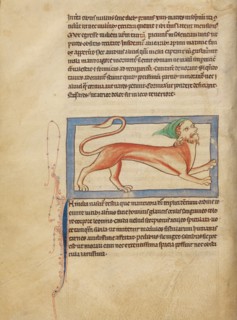 A Manticore; Northumberland Bestiary, about 1250-1260. Creator: Unknown.