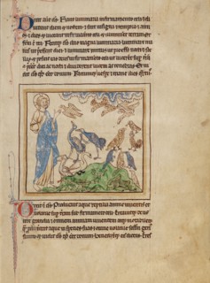 The Creation of the Birds and Fishes; Northumberland Bestiary, about 1250-1260. Creator: Unknown.