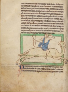 A Dromedary; Northumberland Bestiary, about 1250-1260. Creator: Unknown.