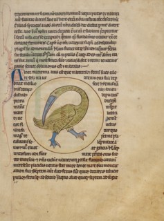 An Alcior; Northumberland Bestiary, about 1250-1260. Creator: Unknown.