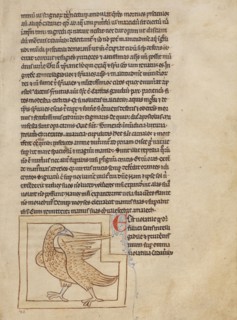 A Coot; Northumberland Bestiary, about 1250-1260. Creator: Unknown.