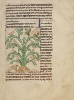 A Peridexion; Northumberland Bestiary, about 1250-1260. Creator: Unknown.