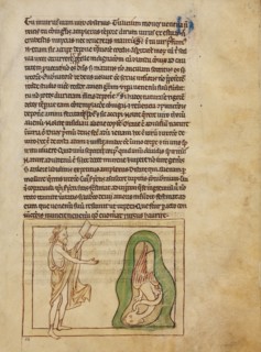 An Asp; Northumberland Bestiary, about 1250-1260. Creator: Unknown.
