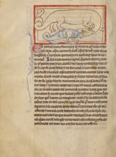 A Hydrus; Northumberland Bestiary, about 1250-1260. Creator: Unknown.