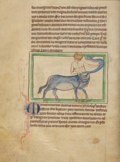 A Monocentaurus; Northumberland Bestiary, about 1250-1260. Creator: Unknown.