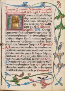 Decorated Initial N; Diurnal, about 1485. Creator: Unknown.