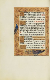 Decorated Text Page; Spinola Hours, about 1510-1520. Creator: Unknown.