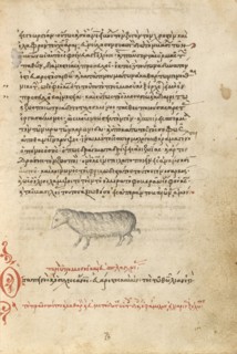 A Sheep, 1510-1520. Creator: Unknown.