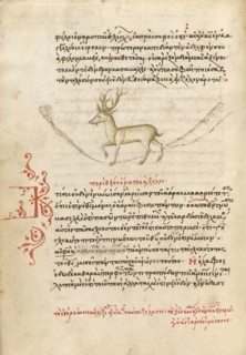 A Stag, 1510-1520. Creator: Unknown.