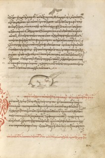 A Hare, 1510-1520. Creator: Unknown.