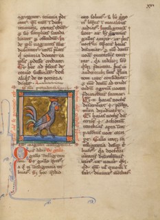 A Rooster; Bestiary, about 1270. Creator: Unknown.