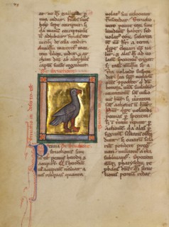An Ostrich; Bestiary, about 1270. Creator: Unknown.