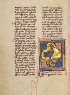 A Crane; Bestiary, about 1270. Creator: Unknown.