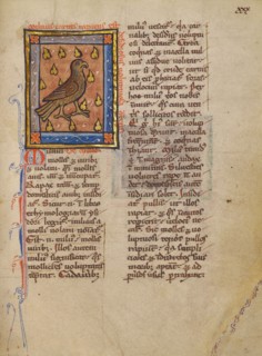 A Night Heron; Bestiary, about 1270. Creator: Unknown.