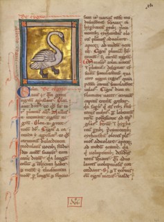 A Swan; Bestiary, about 1270. Creator: Unknown.