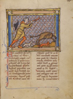 A Hunter and a Beaver; Bestiary, about 1270. Creator: Unknown.