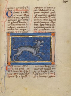 A Hyena; Bestiary, about 1270. Creator: Unknown.