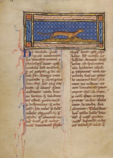 A Weasel; Bestiary, about 1270. Creator: Unknown.
