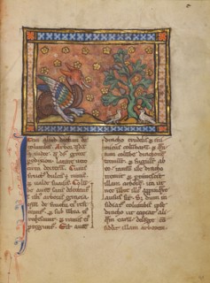 A Peridexion Tree; Bestiary, about 1270. Creator: Unknown.