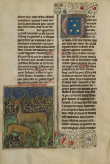 Deer; Livre de la Chasse, about 1430-1440. Creator: Unknown.