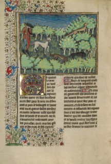 A Hunter and Dogs Pursuing a Fox; Livre de la Chasse, about 1430-1440. Creator: Unknown.
