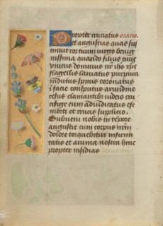Decorated Text Page, about 1480-1490. Creator: Unknown.