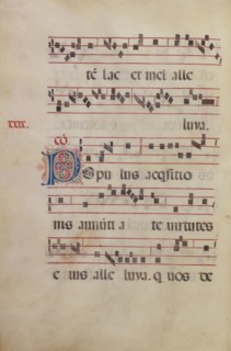 Decorated Initial P; Gradual, late 15th or early 16th century. Creator: Antonio da Monza.