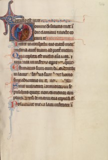 Initial D: Core Burning His Son; Bute Psalter, text and illumination about 1285. Creator: Bute Master.