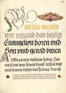 Horntail Caterpillar, Eyed Hawk-Moth, Beetle, Two-Spot Ladybird, 1561-1562; illumination added 1591- Creator: Joris Hoefnagel.