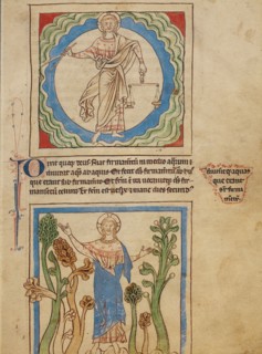 The Creation of Heaven and Earth: The Creation of the Trees; Northumberland Bestiary, about 1250-60. Creator: Unknown.